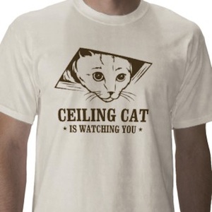 Ceiling cat t-shirt Ceiling Cat is watching you t-shirt