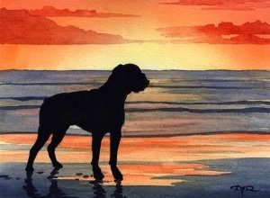 Boxer Sunset poster Boxer in the sunset art poster of a dog