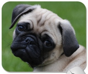 Pug Face Mousepad Pug face mousepad