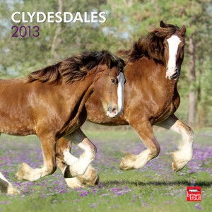 Clydesdales Horse 2013 Wall Calendar