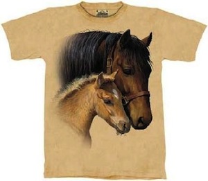 Gentle Touch Horse t-shirt two horses gentle touch t-shirt