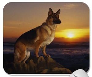 German Shepherd Mousepad German Shepherd Mousepad