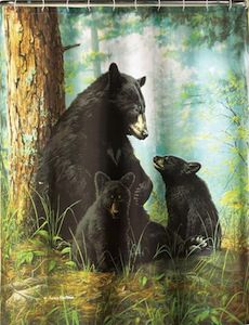 bear shower curtain