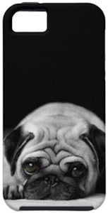 Cute pug iPhone case