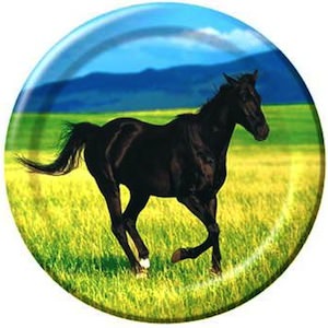 pony paper plates