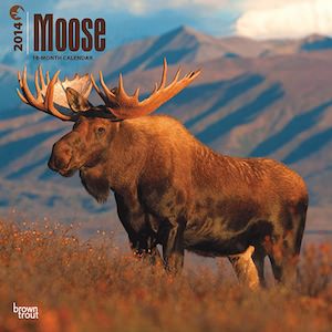 Moose Wall Calendar 2014