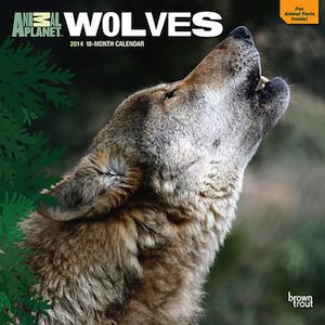 Animal Planet 2014 Wolves Wall Calendar
